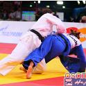 WCPARIS2011 90005